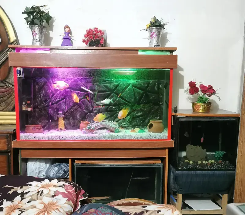 Fish incubator Aquarium for sale — photo 4